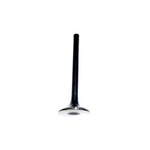 Engine Exhaust Valve-vin: E, Sohc, 8 Valves Dnj EV305 New. Price: $17.44.