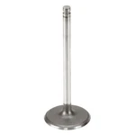 For Chevy Silverado 1500 Classic 2007 Genuine W0133-1763273-OES Intake Valve. Price: $40.67.