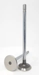 Fits 2008-2010 Ford F-250 F350-F450 6.4L Turbo Diesel Exhaust Valves New. Price: $64.00.