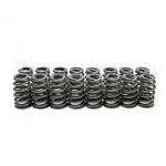 Brian Tooley Valve Springs SP011-16; Beehive 100 Lbs 1.800 In. For 01-05 Gm Ls New. Price: $135.16.