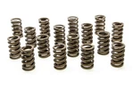 Racing PAC-1200-16 1.244 Single Valve Springs W/damper (16) New. Price: $249.10.