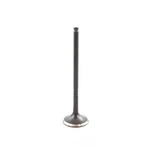 Engine Exhaust Valve-dohc, Code: 1GR-FE, 24 Valves Dnj EV969 New. Price: $18.63.