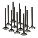 Supertech BMEVN-1030-12 Black Nitride Exhaust Valves 30.5X5.96X105.65MM New. Price: $315.80.