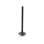 Engine Exhaust Valve-dohc, Code: J20B, 16 Valves Dnj Fits 2010 SX4 2.0L-L4 New. Price: $19.70.