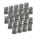 Supertech SPR-H1005D-24 Dual Valve Spring Set For Bmw M50/M52/S50/S52 New. Price: $370.99.