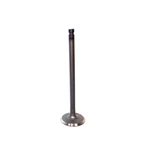 Dnj IV101A Intake Valve Fits 1981-1984 Dodge Aries 81-84 Plymouth Reliant New. Price: $30.99.