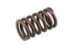 Engine Valve Spring New. Price: $33.99.