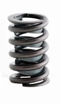 Enginetech Valve Spring Pack Of 1 New. Price: $385.99.