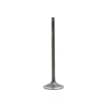Engine Intake Valve-sohc, Code: F22A1, 16 Valves Dnj IV219 New. Price: $13.14.