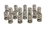 Racing Springs 1.445 Valve Ovate Beehive (16)- PAC-1220X-16 New. Price: $346.02.