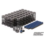 Gsc P-d Audi R8 V10 Lamborghini Huracan 5.2L Valve Spring/ti Retainer Kit New. Price: $1800.00.