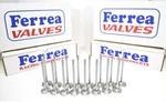 Ferrea 6000 Series Valves Std Size Honda Acura B18A B20 Non Vtec Ls Crv New. Price: $339.00.