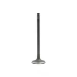 Engine Intake Valve-dohc, 16 Valves Dnj IV407 Fits 2001 Kia Rio 1.5L-L4 New. Price: $16.56.
