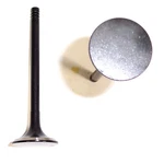 Dnj EV319 Engine Exhaust Valve New. Price: $12.94.