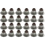 AVS11030 Apex Valve Stem Seals Set For F150 Truck F250 F350 Explorer Navigator New. Price: $43.52.