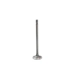 IV4220 Dnj Intake Valve F550 Truck F250 F350 F450 Ford F-550 Super Duty New. Price: $24.67.