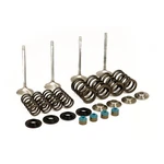 Manley Race Master Valve Kit. Stock - Lift .650'' New. Price: $633.80.