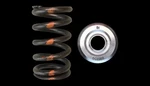 Brian Crower BC0600 Valve Springs + Titanium Retainers For Subaru EJ20 EJ25 New. Price: $299.26.