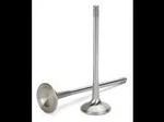 Supertech Aevi 1103 8 Spt Exhaust Valves New. Price: $328.19.