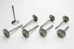 Manley Engine Valve New. Price: $219.56.