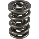 Pac Racing Springs 1248-16 1200 Series Triple Valve New. Price: $465.30.