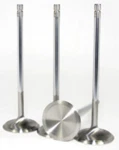 Gsc Power Division 2024-8 Chrome Polished Intake Valve Set For 4B11T New. Price: $177.95.