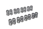 Tomei Valve Spring Set For Nissan SR20DET New. Price: $190.00.