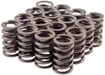Engine Valve Spring Kit-performance Melling 46620-16 New. Price: $76.84.