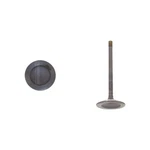 For Dodge Ram 1500 1994-2003 Dnj Engine Components IV1130 Intake Valve New. Price: $11.87.