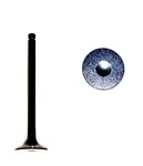 Engine Exhaust Valve-sohc, 8 Valves Dnj EV415 New. Price: $30.99.
