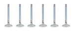 For Buick V6 C/6 1.500IN Exhaust Valves Ferrea F6237-6 New. Price: $166.39.