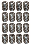 Brian Crower BC1050 High-rpm Single Valve Spring Kit For K20A3 / K24A New. Price: $105.95.