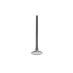 Dnj EV124 Exhaust Valve Fits 1996-2000 Hyundai Elantra 97-01 Tiburon New. Price: $32.99.