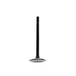 Engine Exhaust Valve-vin: E, Sohc, 12 Valves Dnj EV428 New. Price: $18.35.