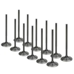 Supertech Black Nitride Exhaust Valves Fits Bmw M52 / M54 S52 BMEVN-1030S-12 New. Price: $322.57.