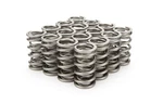 Racing PAC-1204X-16 1.290 Dual Valve Springs Rpm Series (16) New. Price: $397.96.