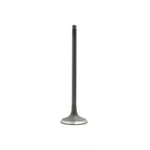 Engine Intake Valve-dohc, 16 Valves Dnj IV425 New. Price: $16.19.
