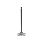 Engine Intake Valve-vin: V, Sohc, 24 Valves Dnj IV350 New. Price: $16.77.