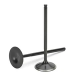 Supertech For Audi/vw 2.5T Fsi Black Nitrided Intake Valves Set Of 10 New. Price: $267.37.