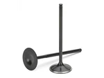 Supertech For Bmw M50/M52/S50/S52 Black Nitrided Intake Valve - +1MM Oversize New. Price: $345.70.