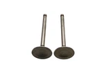 Shin Nippon 13201-H6200 Datsun Intake Valves Qty Nos New. Price: $19.99.