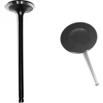 IV420 Dnj Intake Valve Ford Focus Escort Mercury Tracer 1997-1999 New. Price: $24.67.
