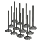 Supertech Black Nitrided Intake Valve Set Of 12 For Audi/vw 1.8T Single Groove New. Price: $315.87.