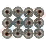 Apex Gaskets AVS3101 Valve Stem Seal Set New. Price: $37.88.