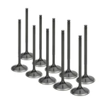 Supertech For 2.0L 16V Black Nitrided Intake Valve Set VWIVN-1034-10 New. Price: $267.37.