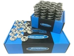 Supertech Dual Springs Titanium Retainers Kit For Vw R32 VR6 Golf 3.2L Gti Mkiv New. Price: $872.47.