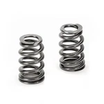 Supertech SPRK-BMS63B Conical Valve Spring Kit New. Price: $1285.66.