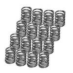 Supertech SPR-TC25S-16 Single Valve Springs Diam New. Price: $182.30.