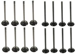 Valves Intake+exhaust SET/16 2004-2008 Chevy Aveo+pontiac Wave 1.6L Etec Ii L91 New. Price: $119.52.