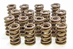 1.560IN Valve Springs Isky Cams 9375 Plus New. Price: $444.20.